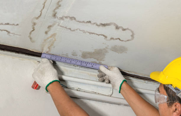 Reliable Burst Pipe Cleanup contractor in Benson, MN by Water Damage Irwin